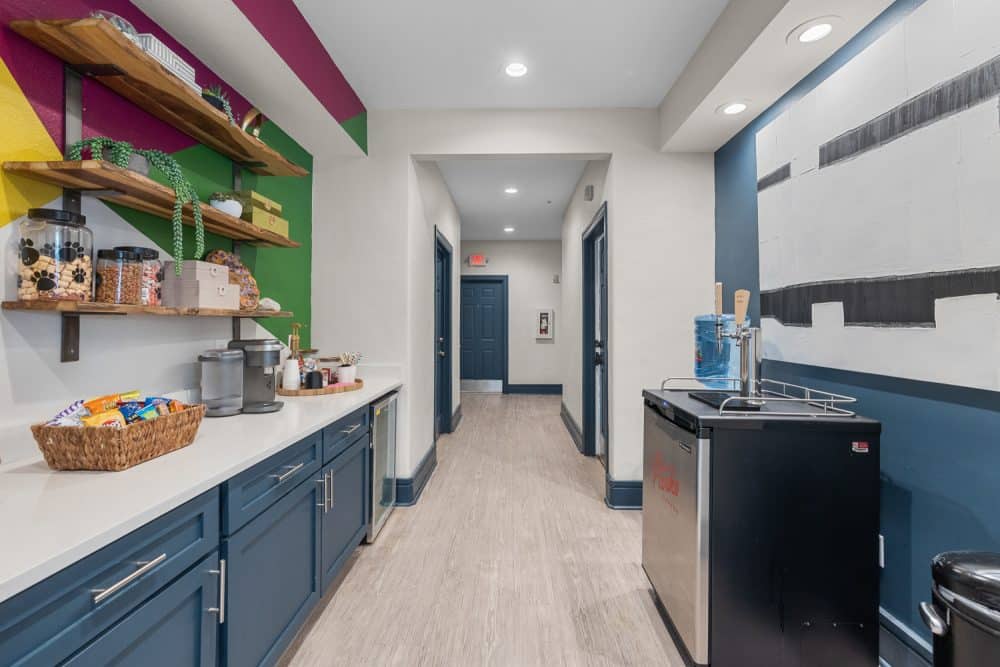 the outpost san marcos apartments near texas state university coffee bar cold brew tap